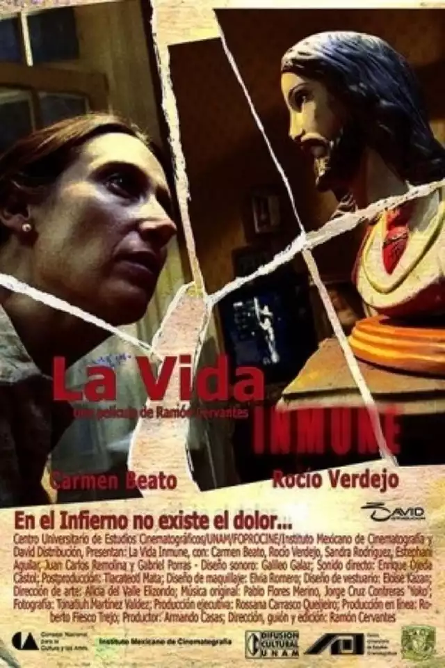 movie vertical poster fallback