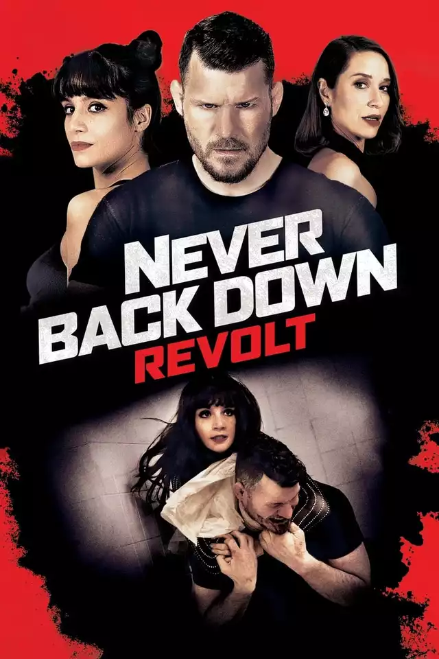 movie vertical poster fallback