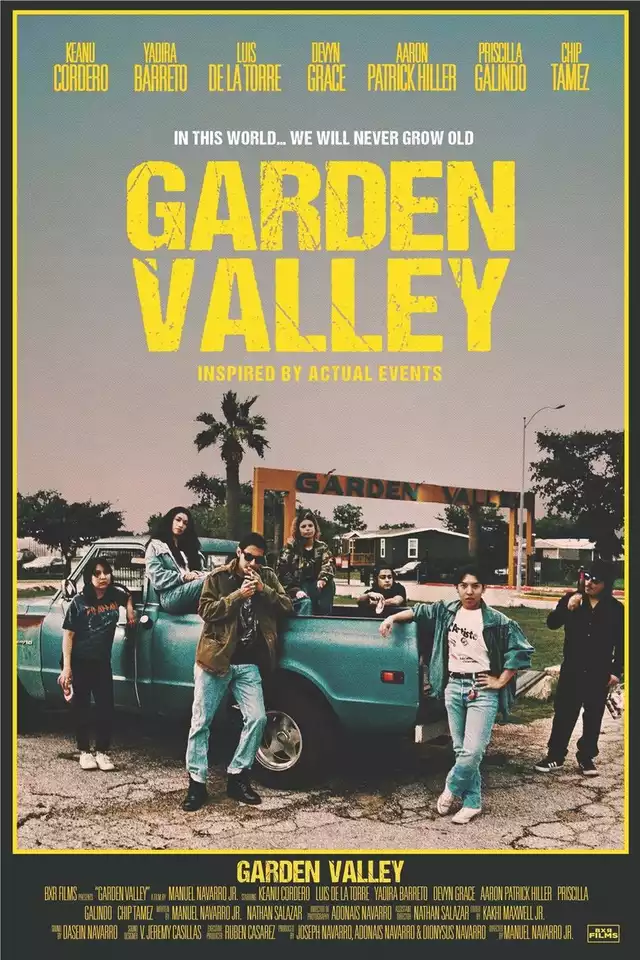 movie vertical poster fallback