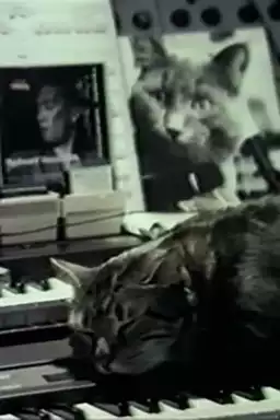 Cat Listening to Music