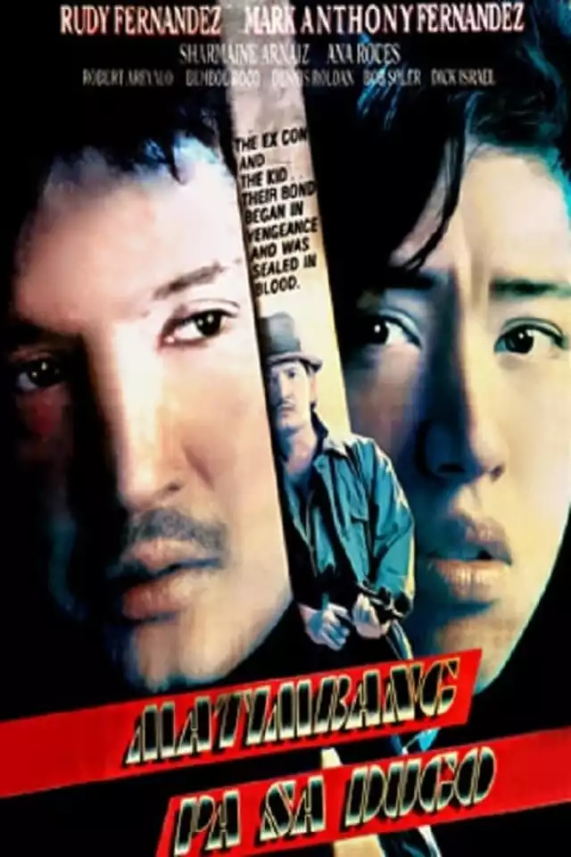 movie vertical poster fallback