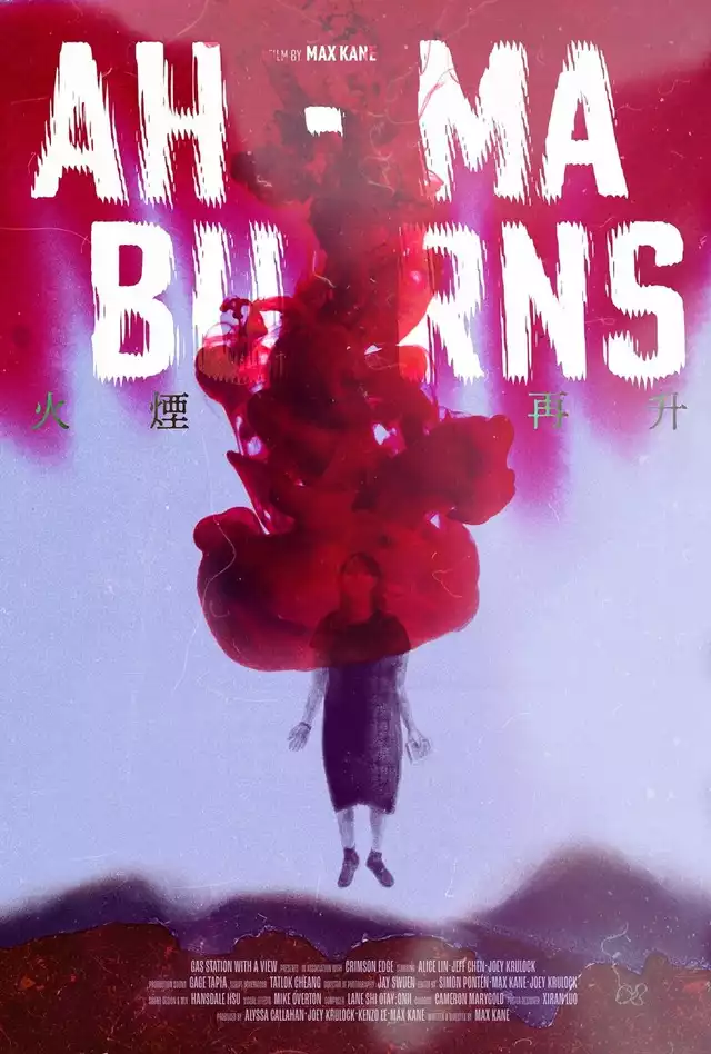 movie vertical poster fallback