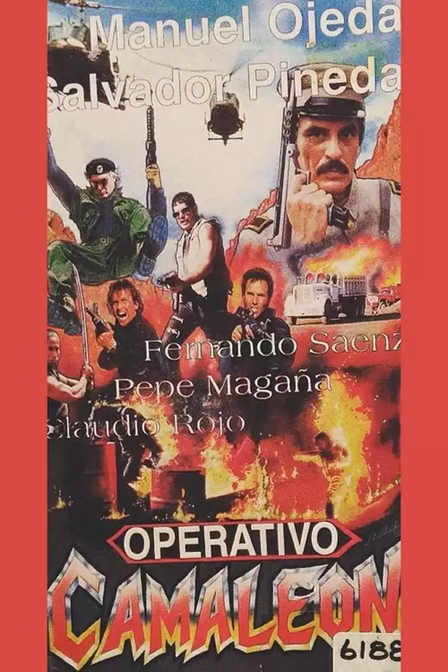 movie vertical poster fallback