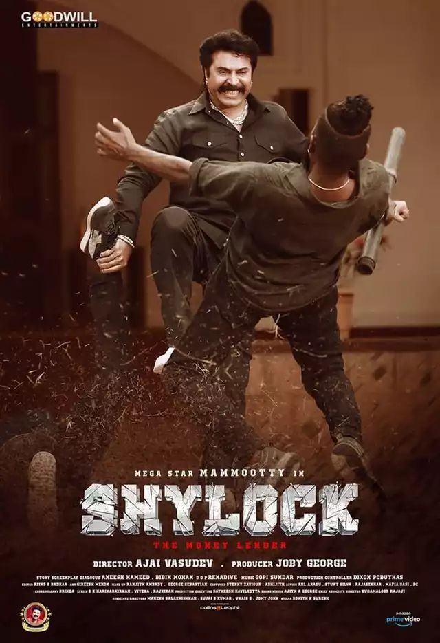 movie vertical poster fallback