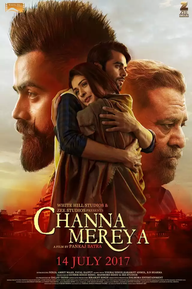 movie vertical poster fallback