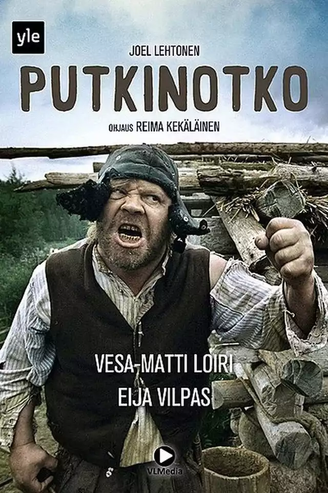 movie vertical poster fallback