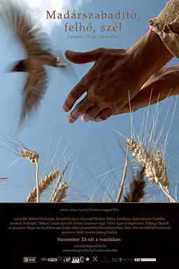 Bird Saviour, Clouds and Wind