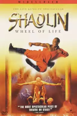 Shaolin: Wheel of Life