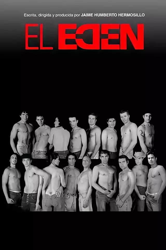 movie vertical poster fallback
