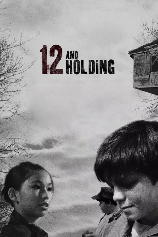 movie vertical poster fallback