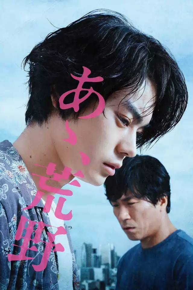 movie vertical poster fallback
