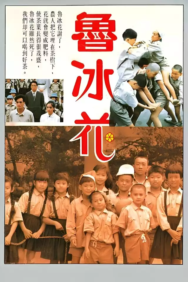movie vertical poster fallback