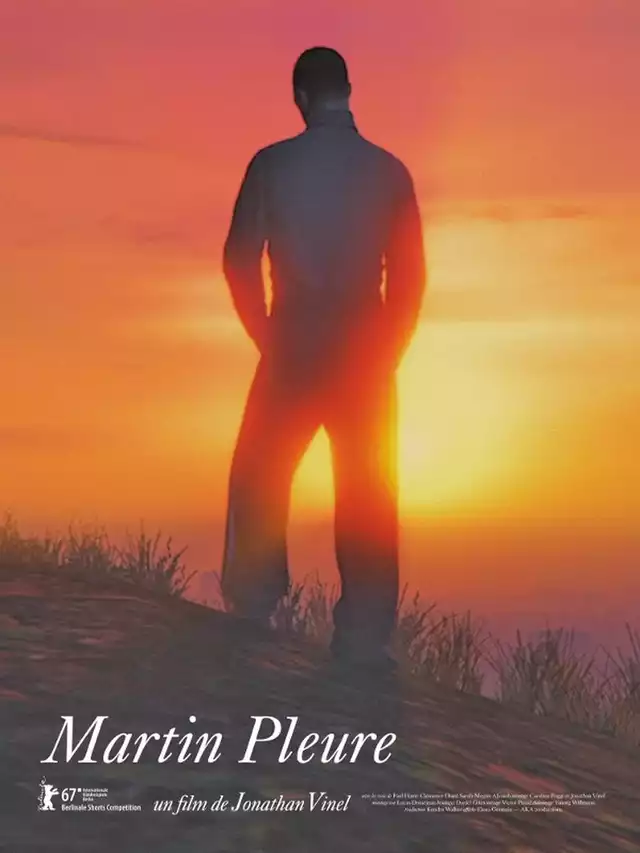 movie vertical poster fallback
