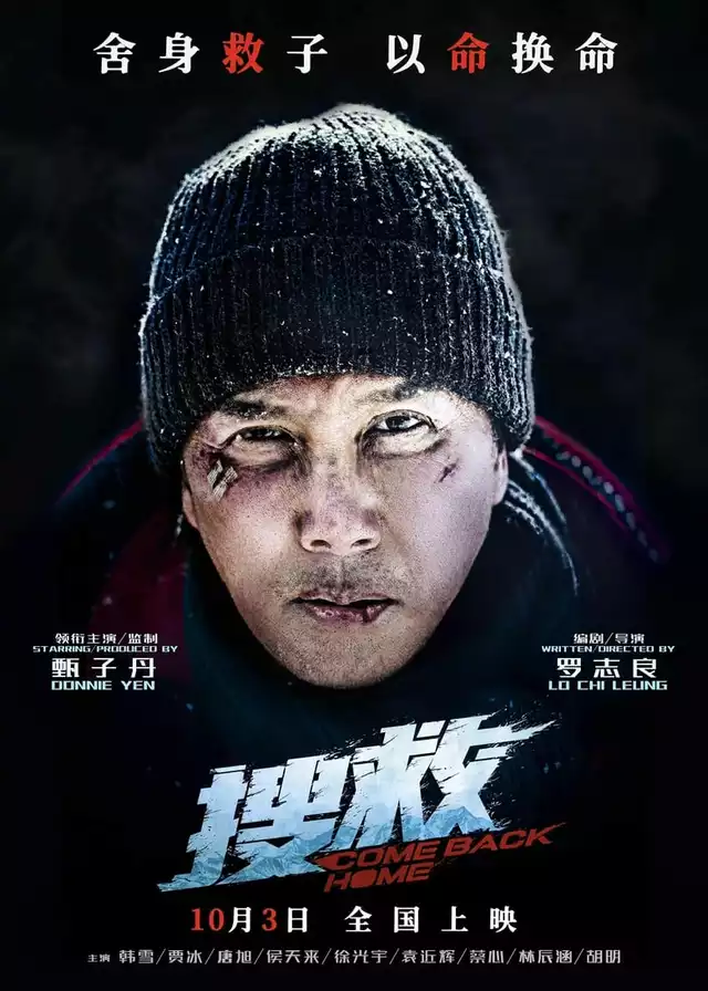 movie vertical poster fallback