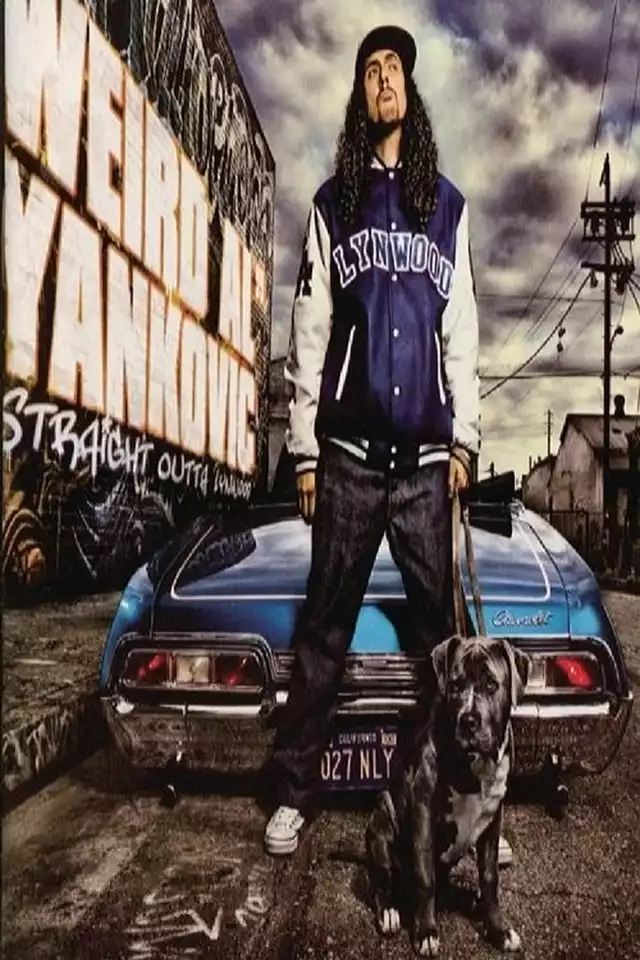 movie vertical poster fallback