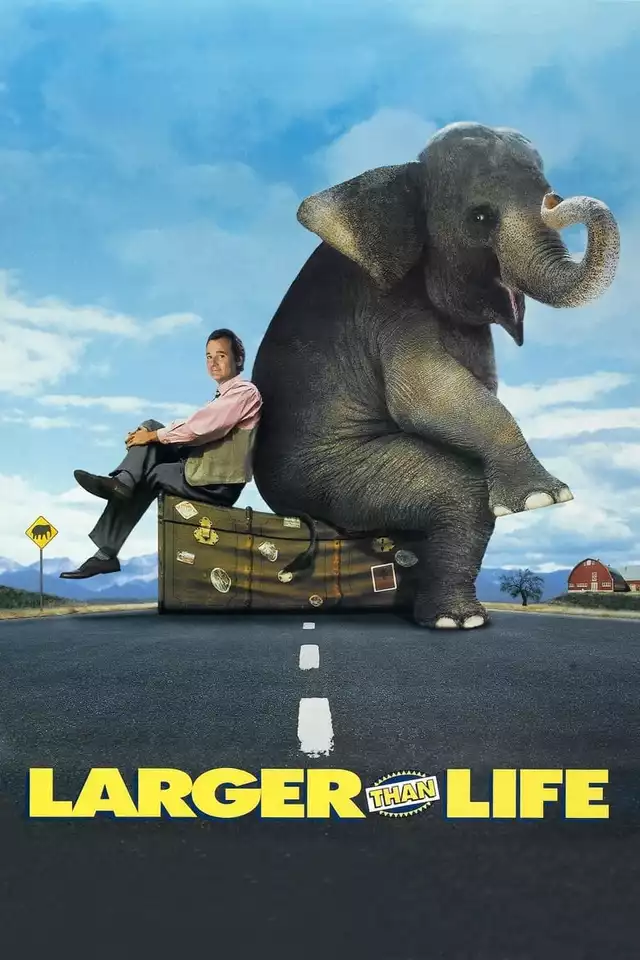 movie vertical poster fallback