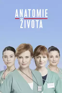 Anatomie života