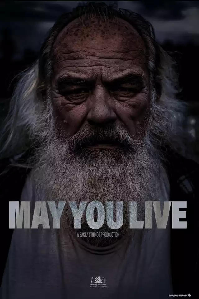 movie vertical poster fallback