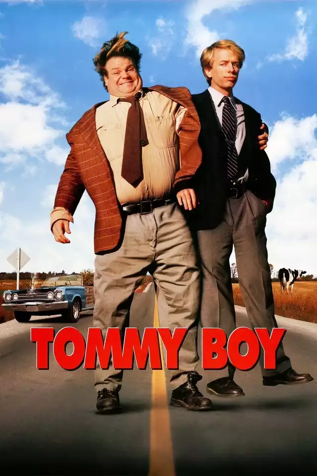 movie vertical poster fallback