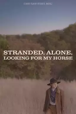 Stranded, Alone, Looking for my Horse