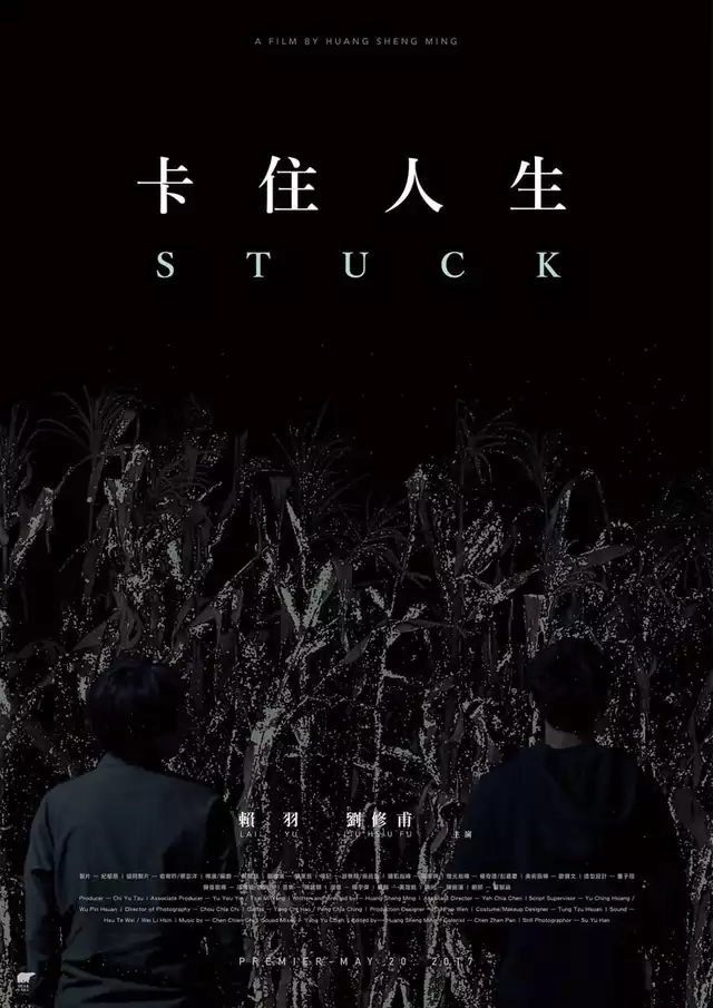 movie vertical poster fallback