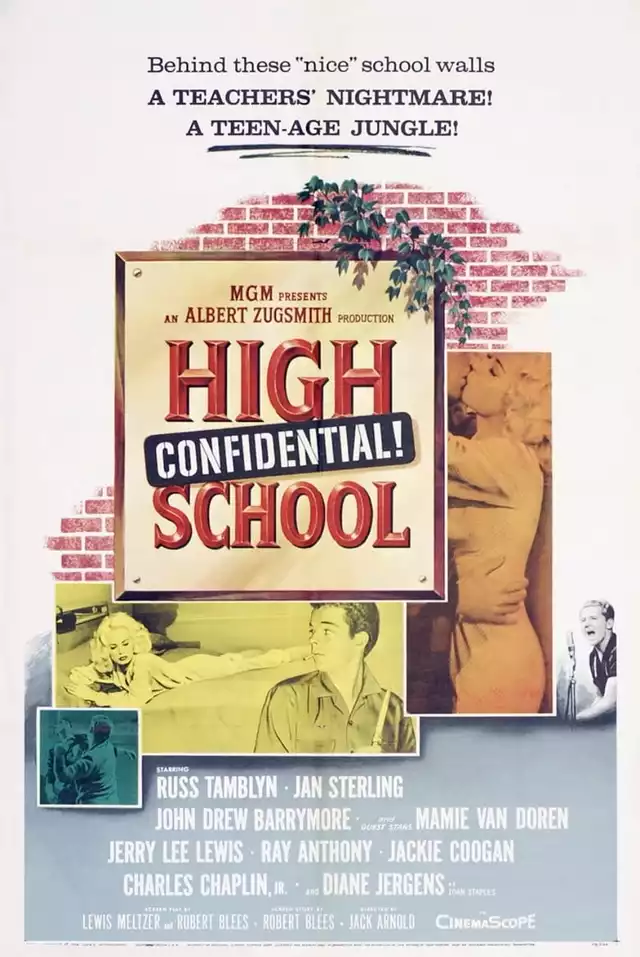 movie vertical poster fallback