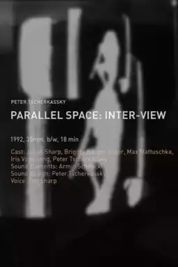 Parallel Space: Inter-View