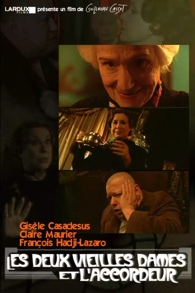 movie vertical poster fallback