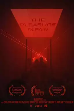 The Pleasure in Pain