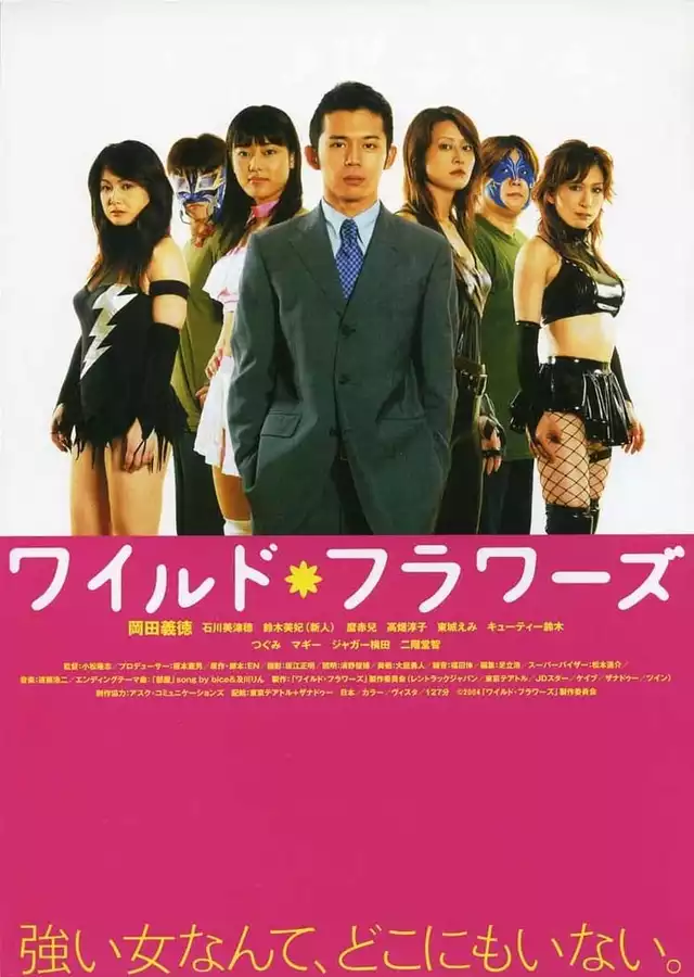 movie vertical poster fallback