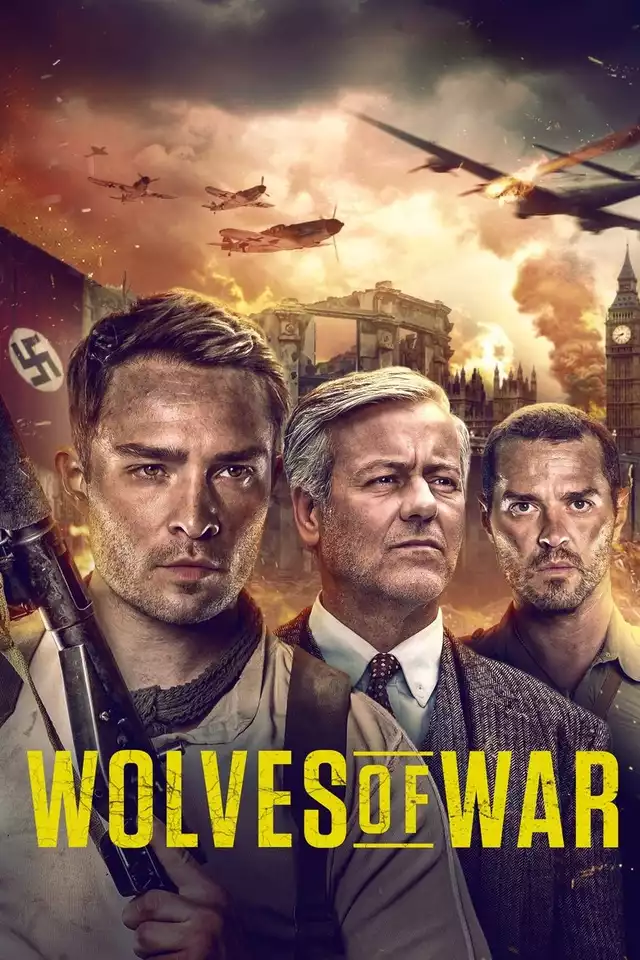 movie vertical poster fallback