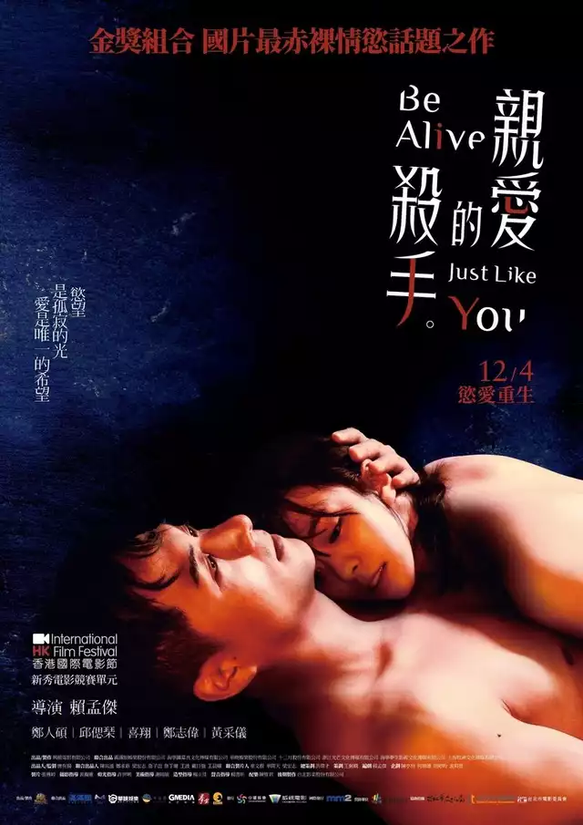 movie vertical poster fallback