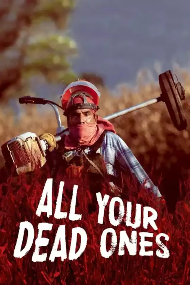 movie vertical poster fallback