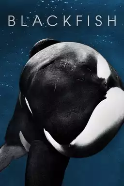 movie Blackfish