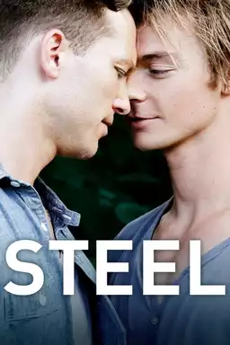 Steel