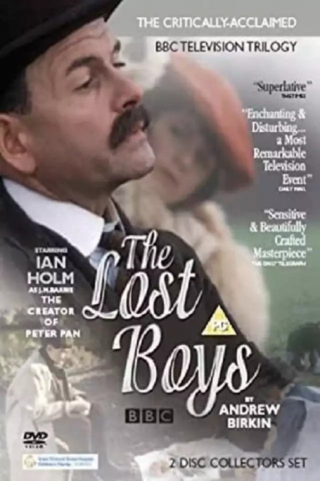 movie vertical poster fallback