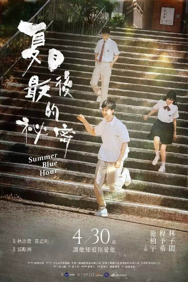 movie vertical poster fallback