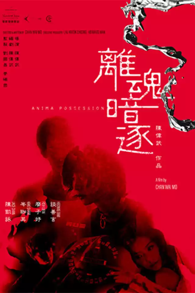 movie vertical poster fallback