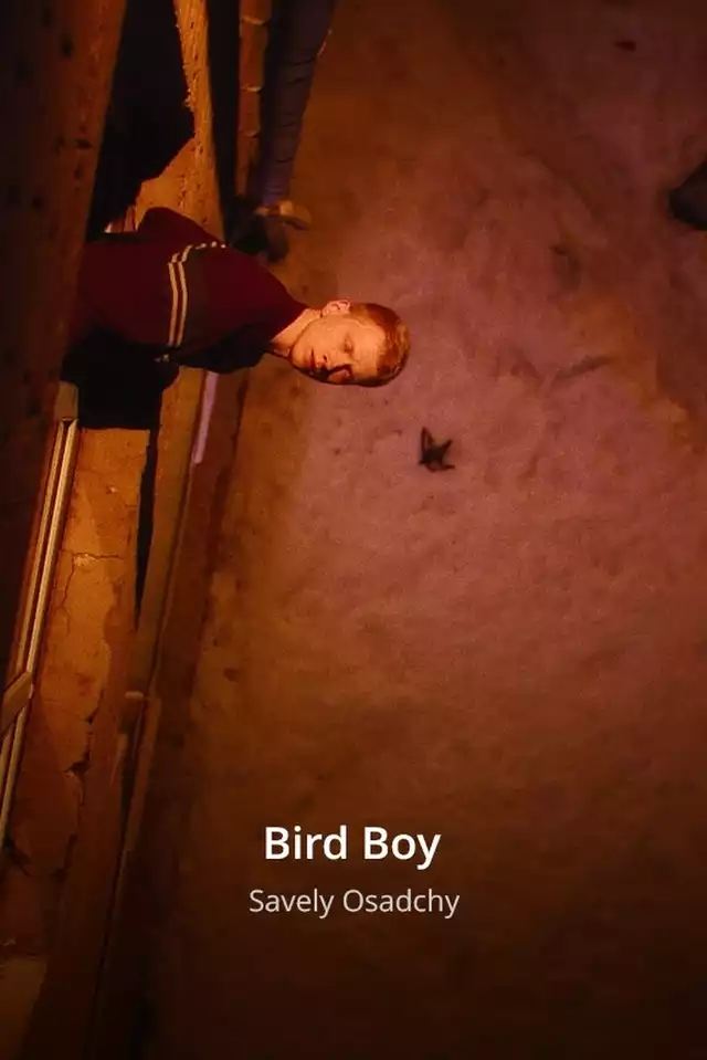 movie vertical poster fallback