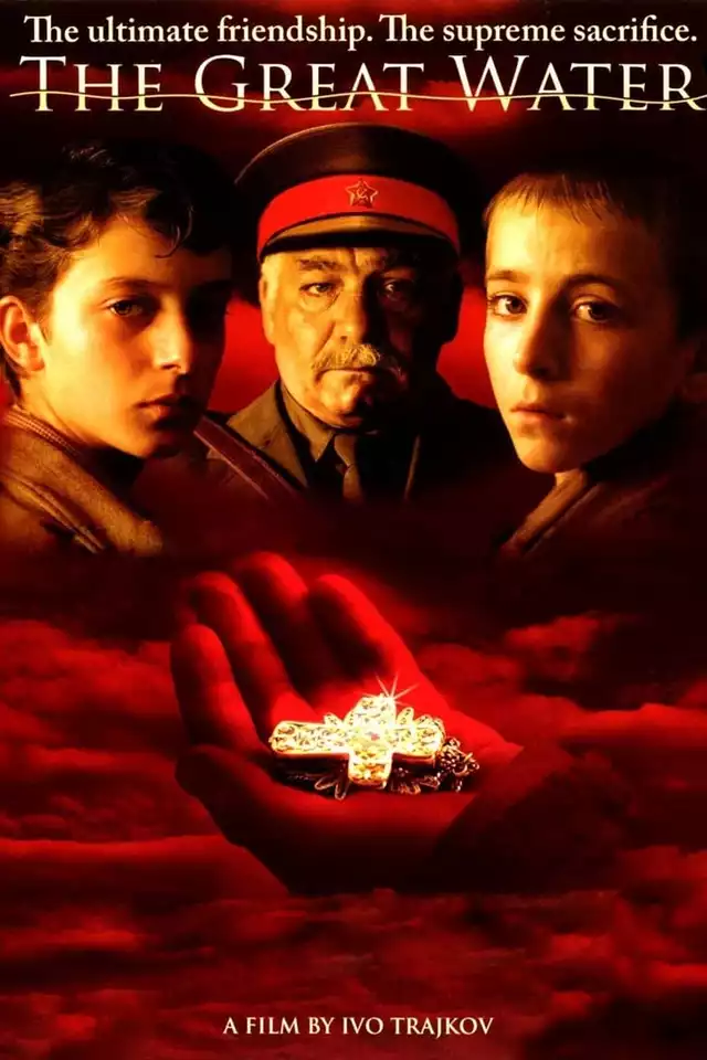 movie vertical poster fallback