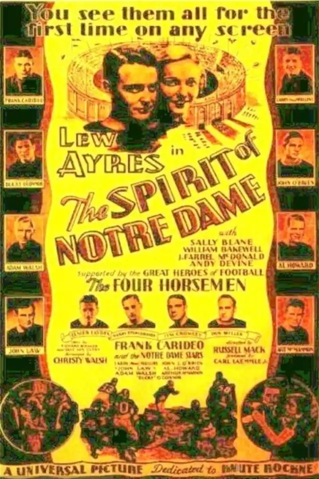 movie vertical poster fallback