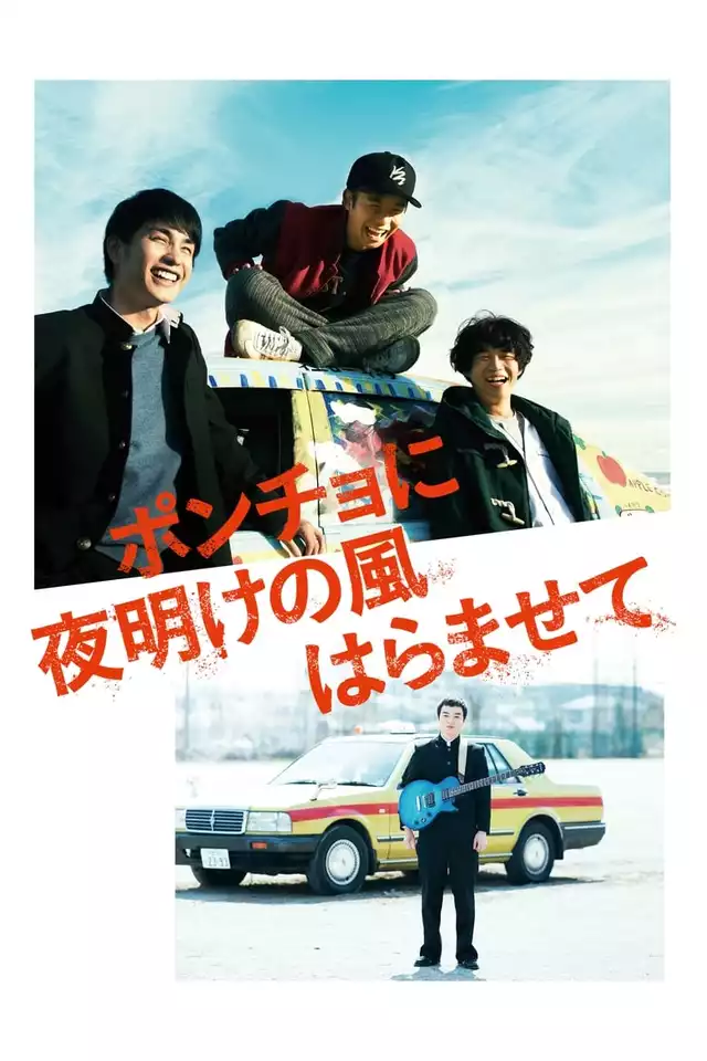 movie vertical poster fallback