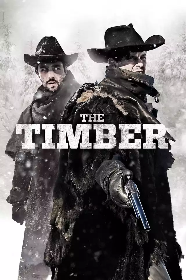 movie vertical poster fallback