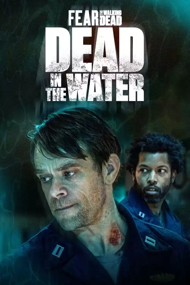 movie vertical poster fallback