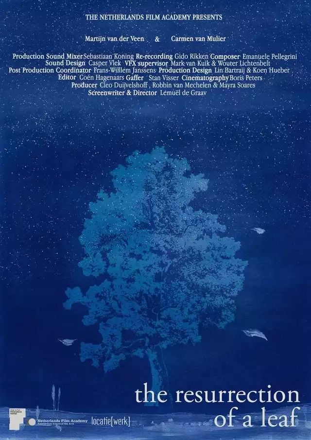 movie vertical poster fallback