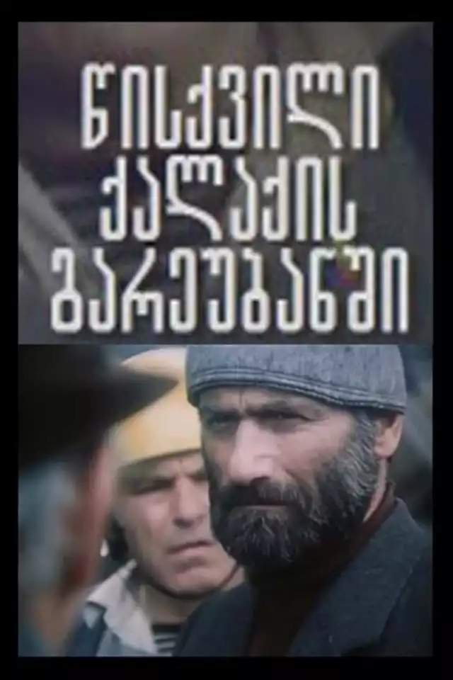 movie vertical poster fallback