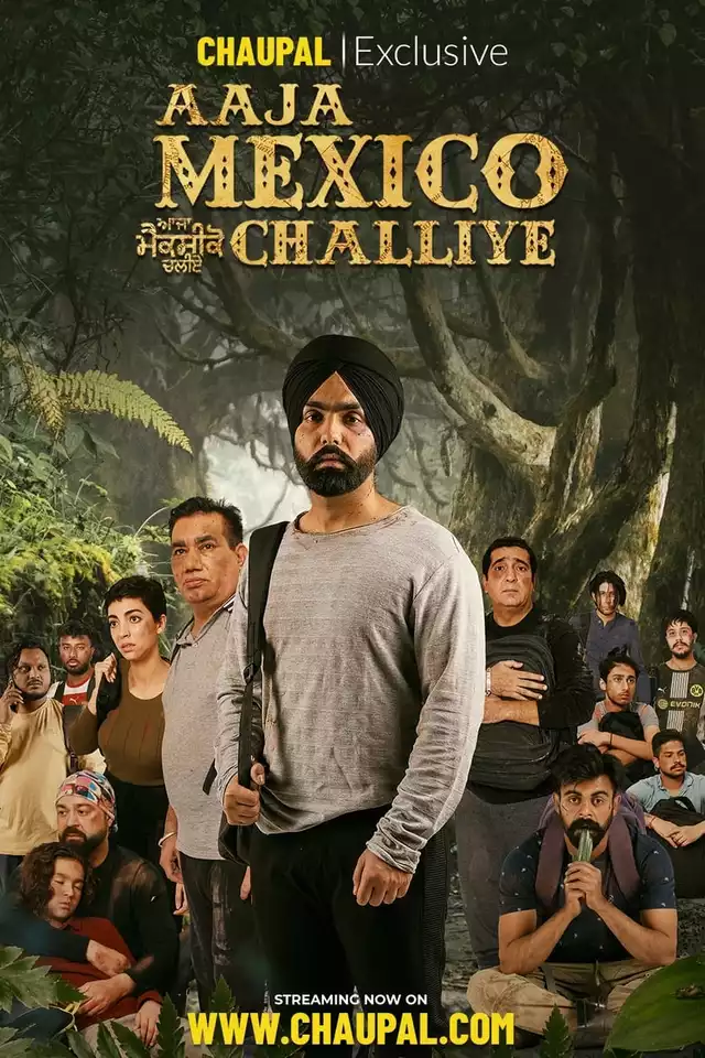 movie vertical poster fallback