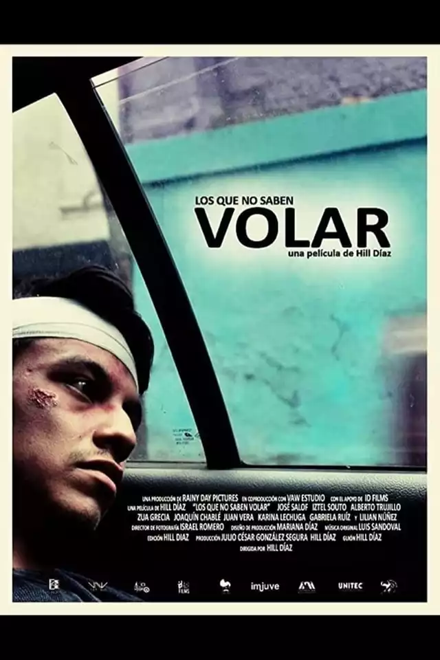 movie vertical poster fallback