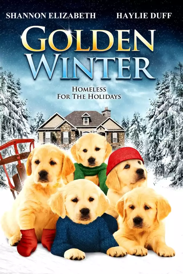 movie vertical poster fallback