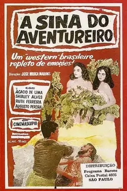 Adventurer's Fate